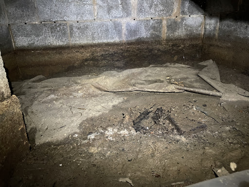 Foundation «AFS Foundation & Waterproofing Specialists», reviews and photos