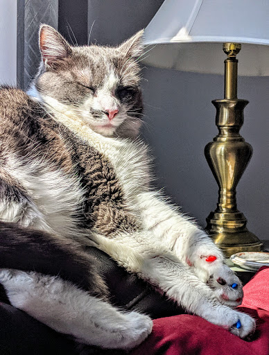 Pet Store «Pet Valu», reviews and photos, 604 Plaza Dr, Newark, DE 19702, USA