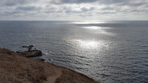 Certified Acceptance Agent & Tax Preparer – Alma Kropf