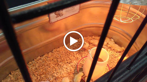 Home Improvement Store «Tractor Supply Co.», reviews and photos, 1580 US-209, Brodheadsville, PA 18322, USA