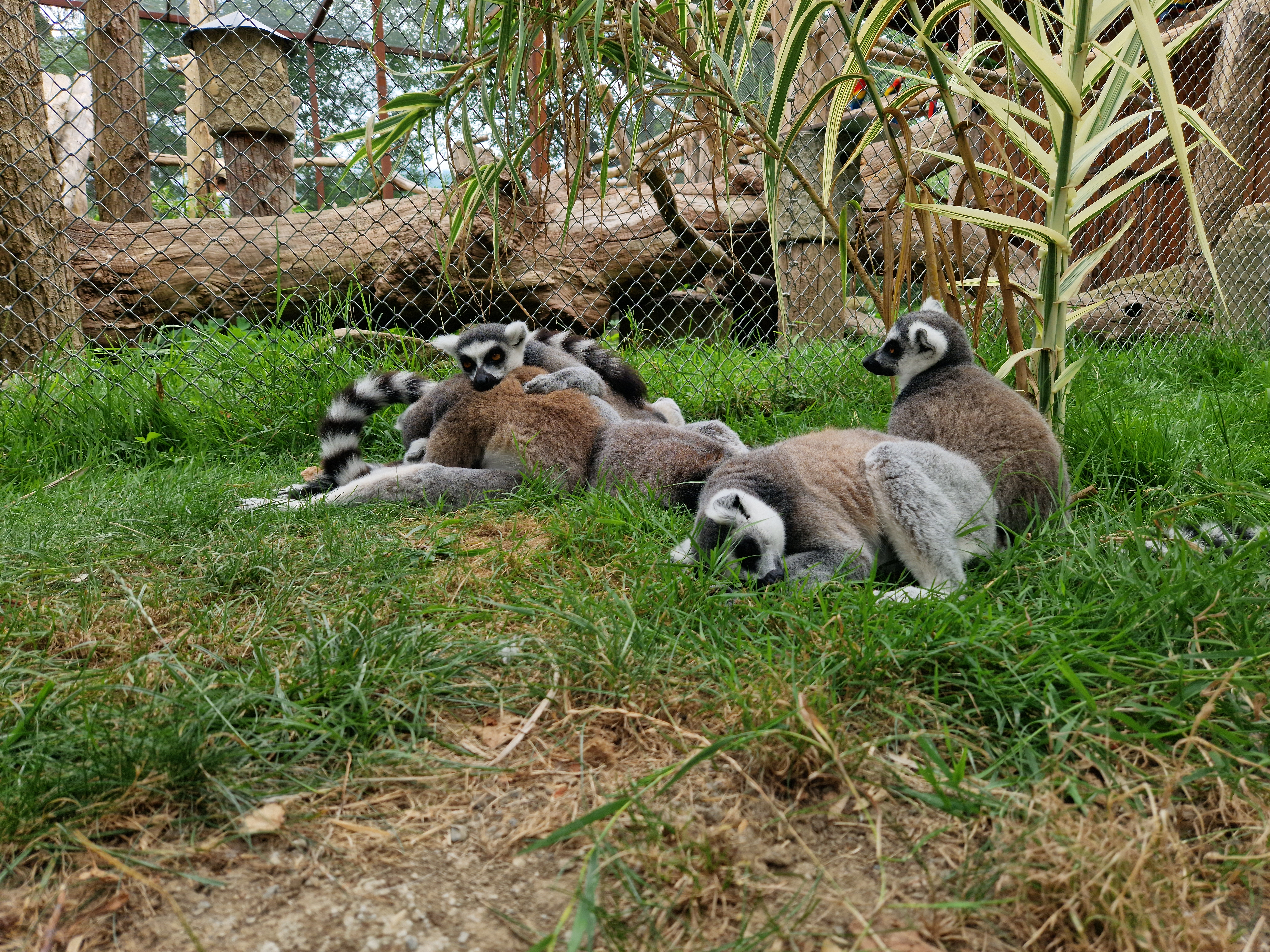 Photo n° 2 de l'avis de Aline.u fait le 27/08/2023 à 11:28