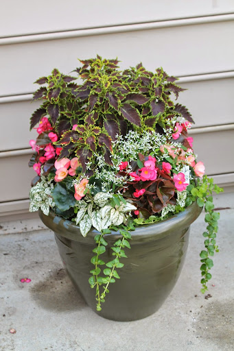 Garden Center «Madison Gardens», reviews and photos, 2705 S Seminole Trail, Madison, VA 22727, USA