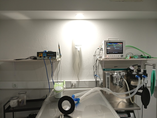 PETiatrico-κτηνιατρείο Ιωάννινα - Κτηνίατρος