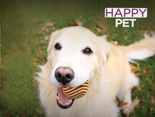 Happy Pet Accesorios - Venta Mayorista de Productos para mascotas