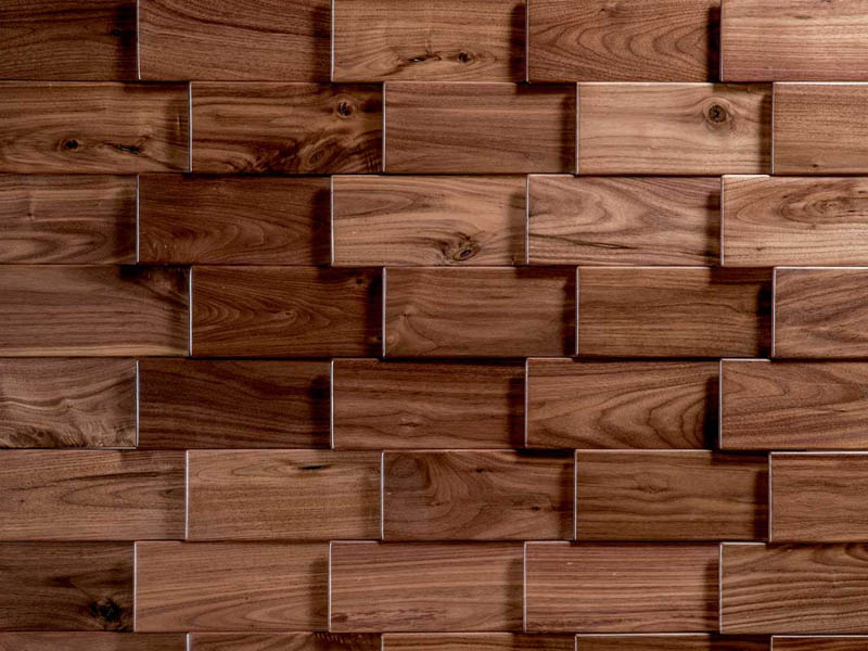 Wood Felanies