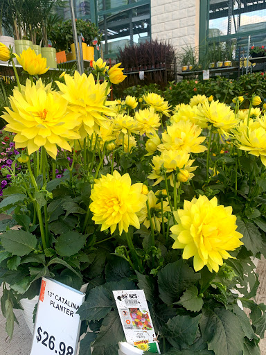 Home Improvement Store «The Home Depot», reviews and photos, 79 US-46, Pine Brook, NJ 07058, USA