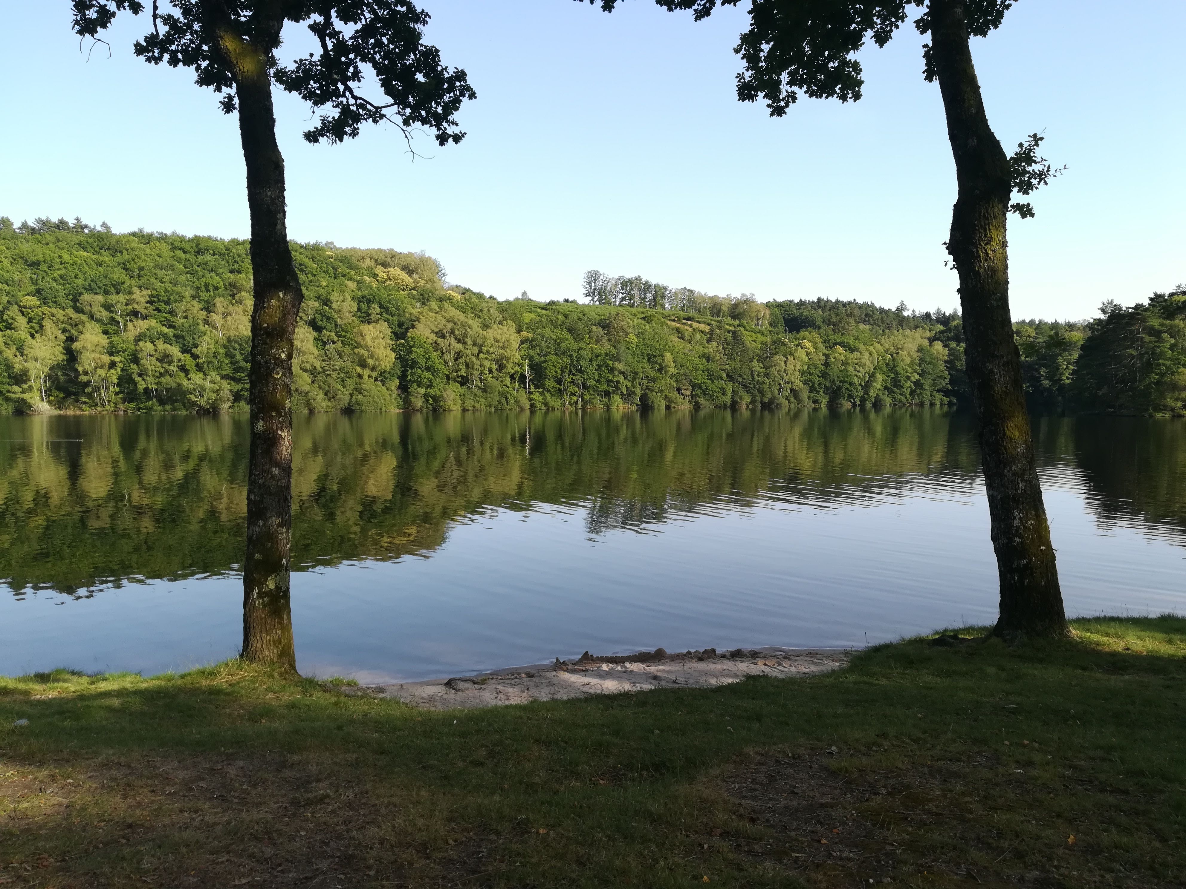 Photo n° 2 de l'avis de norest.a fait le 15/07/2020 à 23:02