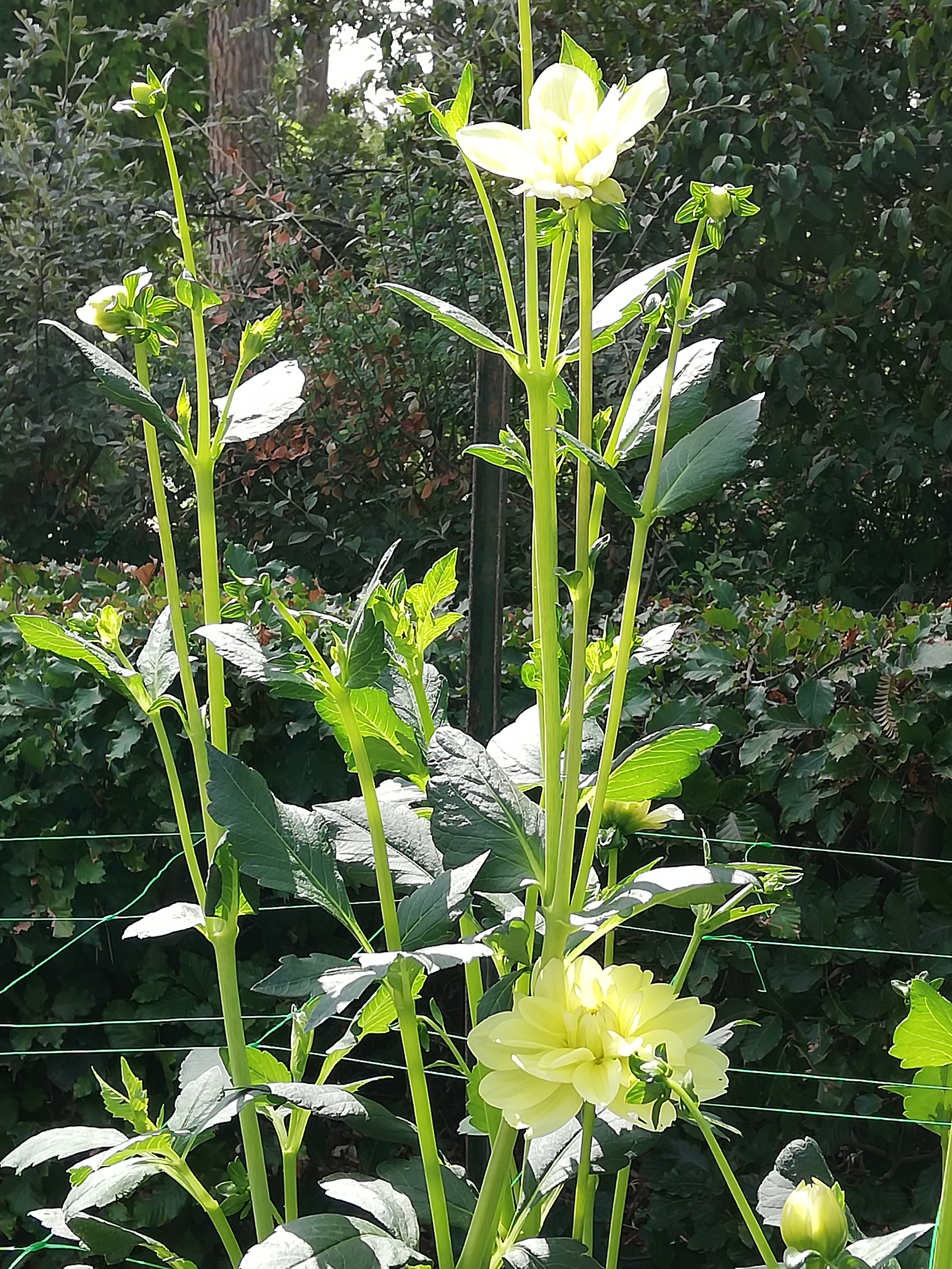 Photo n° 10 de l'avis de Samia.e fait le 16/08/2020 à 16:39