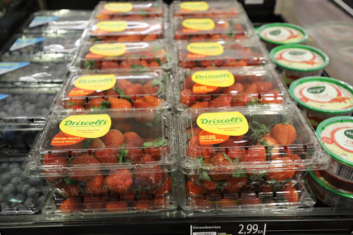 Grocery Store «Food Lion», reviews and photos, 70 Morgan Square #1, Berkeley Springs, WV 25411, USA