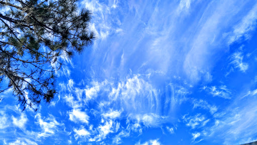 Park «Lake Park», reviews and photos, 17302 N Dale Mabry Hwy, Lutz, FL 33548, USA