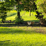 Photo n°10 de l'avis de Kreo.r fait le 14/05/2024 à 07:11 sur le  Glasl's Landhotel à Zorneding