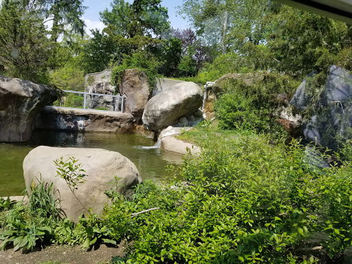 Zoo «Buttonwood Park Zoo», reviews and photos, 425 Hawthorn St, New Bedford, MA 02740, USA