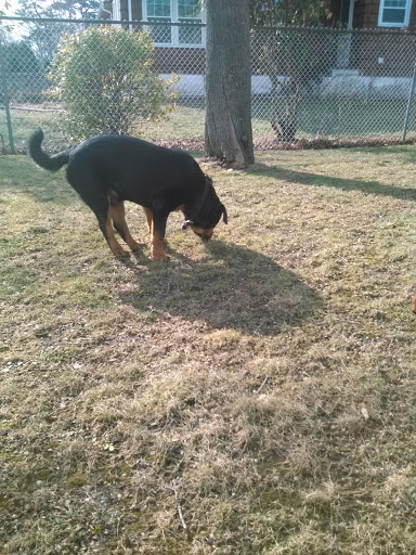 Park «Pine Acres Park», reviews and photos, 196 Pine Acres Blvd, Deer Park, NY 11729, USA