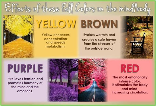 Florist «12th Street Florist», reviews and photos, 1701 E 12th St, Cleveland, OH 44114, USA