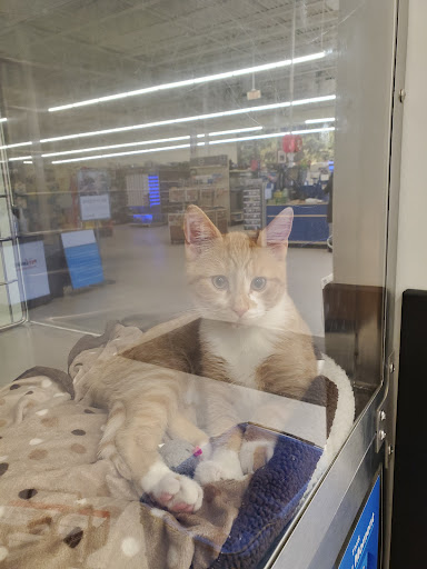 Pet Supply Store «PetSmart», reviews and photos, 10 Traders Way, Salem, MA 01970, USA