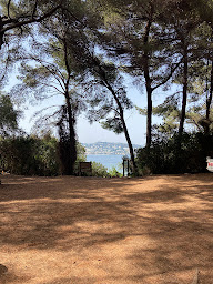 Photo n°5 de Glacier à Cannes ()