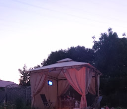 Kleingartenkolonie Grüne Aue photo