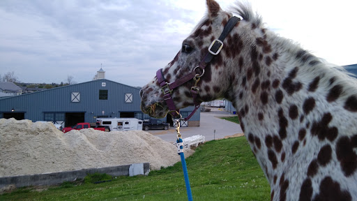 Tourist Attraction «Kentucky Horse Park», reviews and photos, 4089 Iron Works Pkwy, Lexington, KY 40511, USA