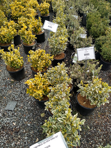 Florist «Sunshine Florist Inc.», reviews and photos, 946 1st Avenue, New York, NY 10022, USA