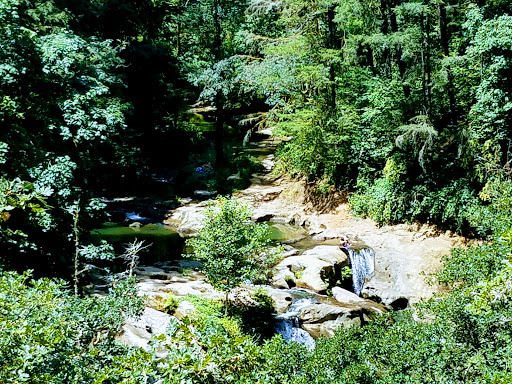 American Football Field «Doc Harris Stadium», reviews and photos, 1125 NE 22nd Ave, Camas, WA 98607, USA