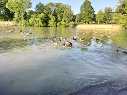 Tourist Attraction «West Branch State Park Beach», reviews and photos, Esworthy Rd, Ravenna, OH 44266, USA