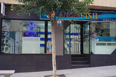 Acuario AngelFish - Servicios para mascota en Salamanca