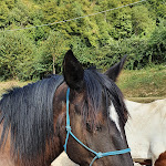 Photo n°10 de l'avis de Lady.a fait le 20/08/2021 à 09:58 sur le  Locanda le Isole à Scarperia e San Piero