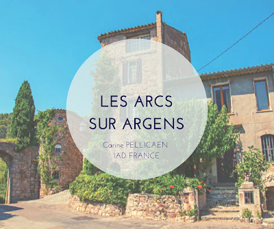 Carine PELLICAEN IAD FRANCE Mandataire Immobilier à Le Muy
