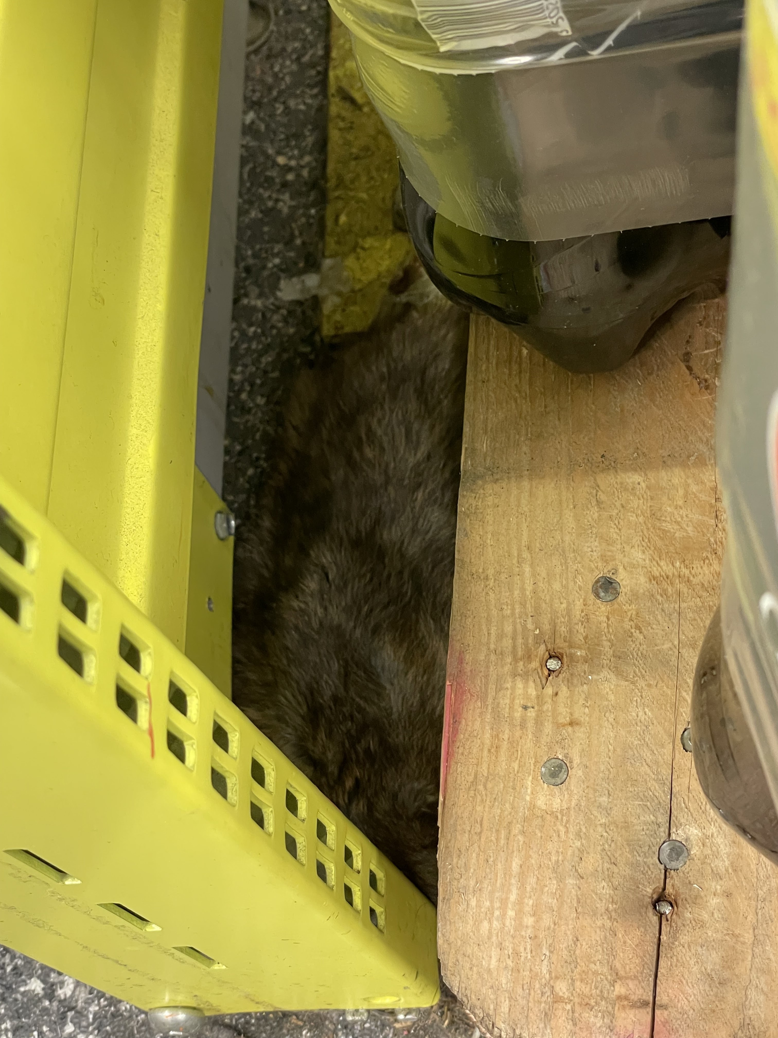 Photo n° 1 de l'avis de Muriel.e fait le 23/09/2023 à 16:07