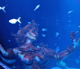Aquaria Phuket photo