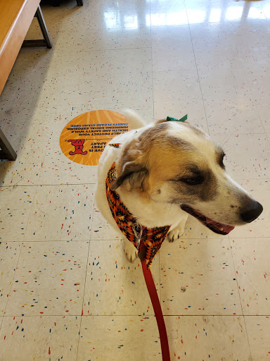 Pet Supply Store «Petco Animal Supplies», reviews and photos, 27111 167th Pl SE #113, Covington, WA 98042, USA