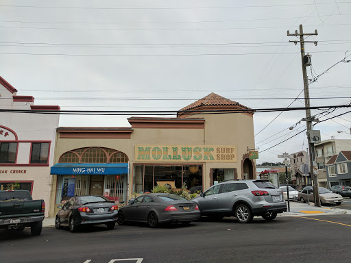 Surf Shop «Mollusk Surf Shop», reviews and photos, 4500 Irving St, San Francisco, CA 94122, USA