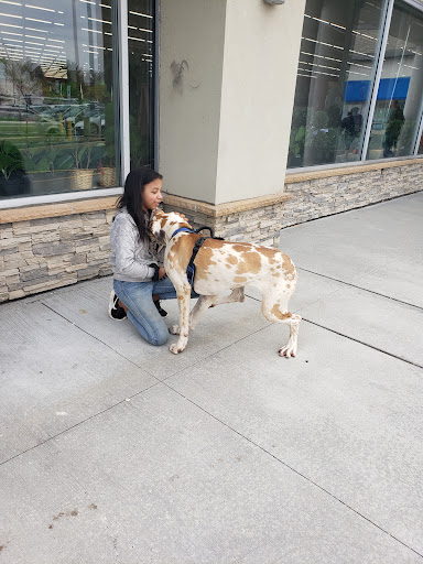 Craft Store «Michaels», reviews and photos, 640 Marketplace Dr, Bel Air, MD 21014, USA