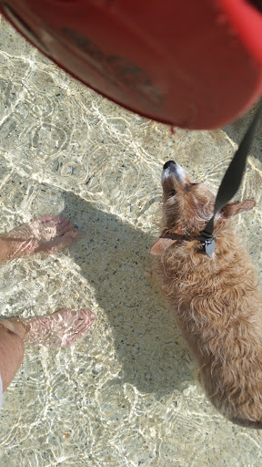 Water Park «NRH2O Family Water Park», reviews and photos, 9001 Boulevard 26, North Richland Hills, TX 76180, USA