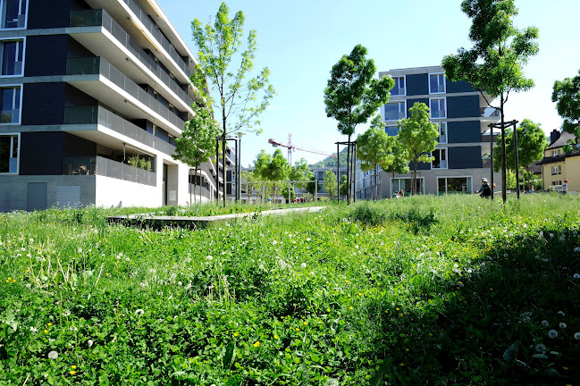 Rezensionen über GGZ Gartenbau Genossenschaft Zürich in Zürich - Gartenbauer