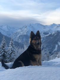 Photos du propriétaire du Restaurant italien Pinocchio à Huez - n°14