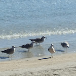 Photo n° 1 de l'avis de Saloua.k fait le 27/09/2022 à 10:27 pour Plage Lumière à La Ciotat