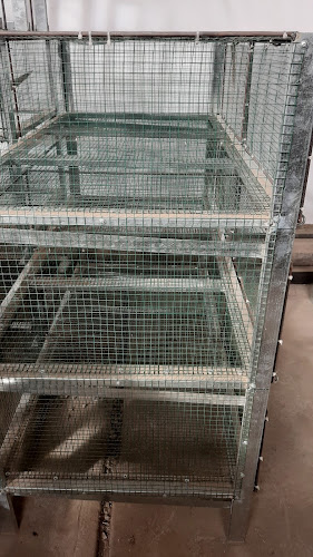 Comentarii opinii despre Auto Spa KM 3.5