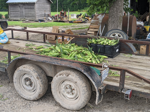 Fruit and Vegetable Store «Henley Farm», reviews and photos, 3513 Charity Neck Rd, Virginia Beach, VA 23456, USA