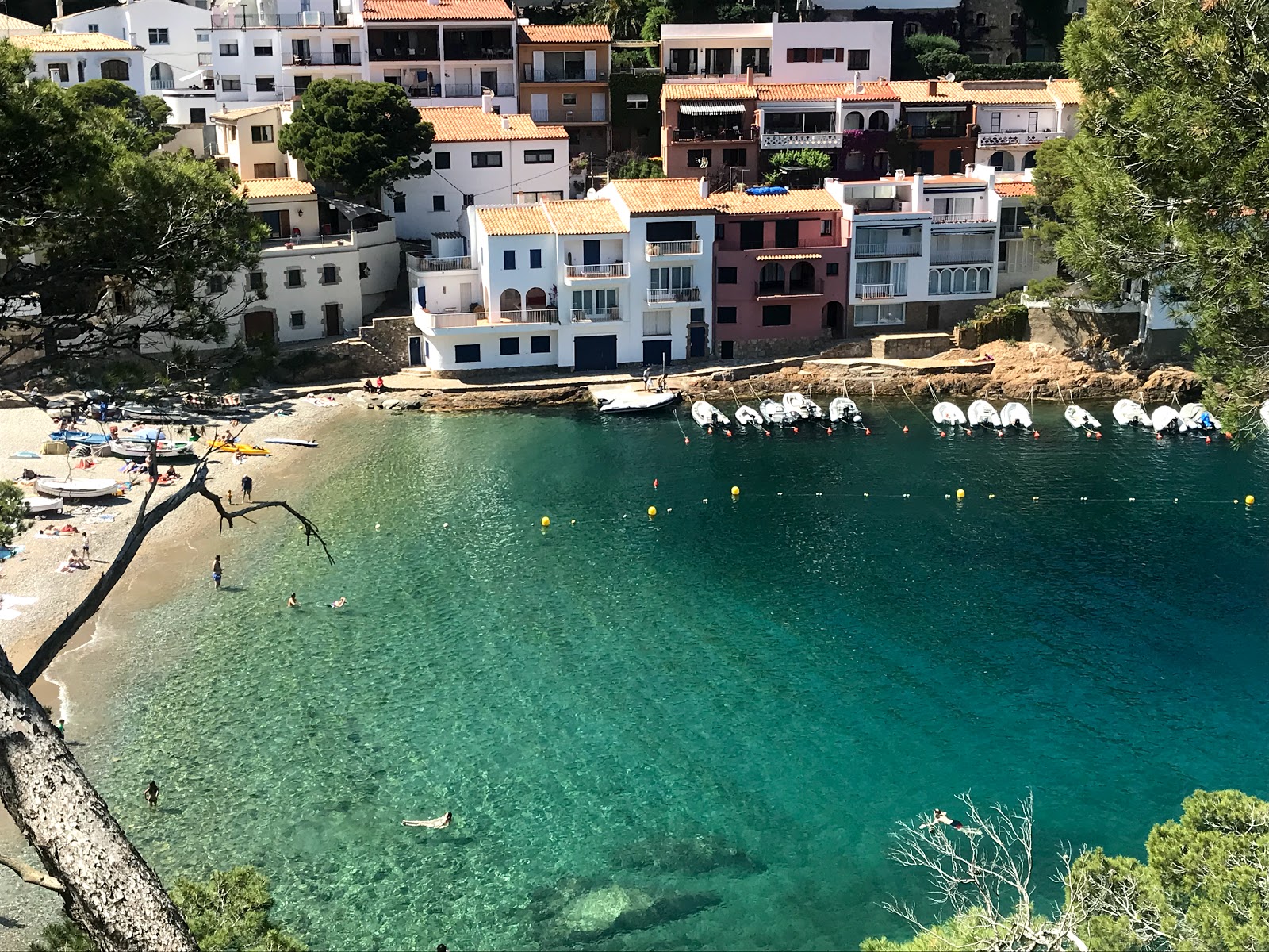 Zdjęcie Platja Sa Tuna z poziomem czystości wysoki