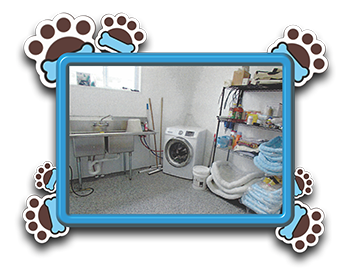 Pet Store «AA Ridgewood Kennels II», reviews and photos, 5401 Lincoln Hwy, Gap, PA 17527, USA