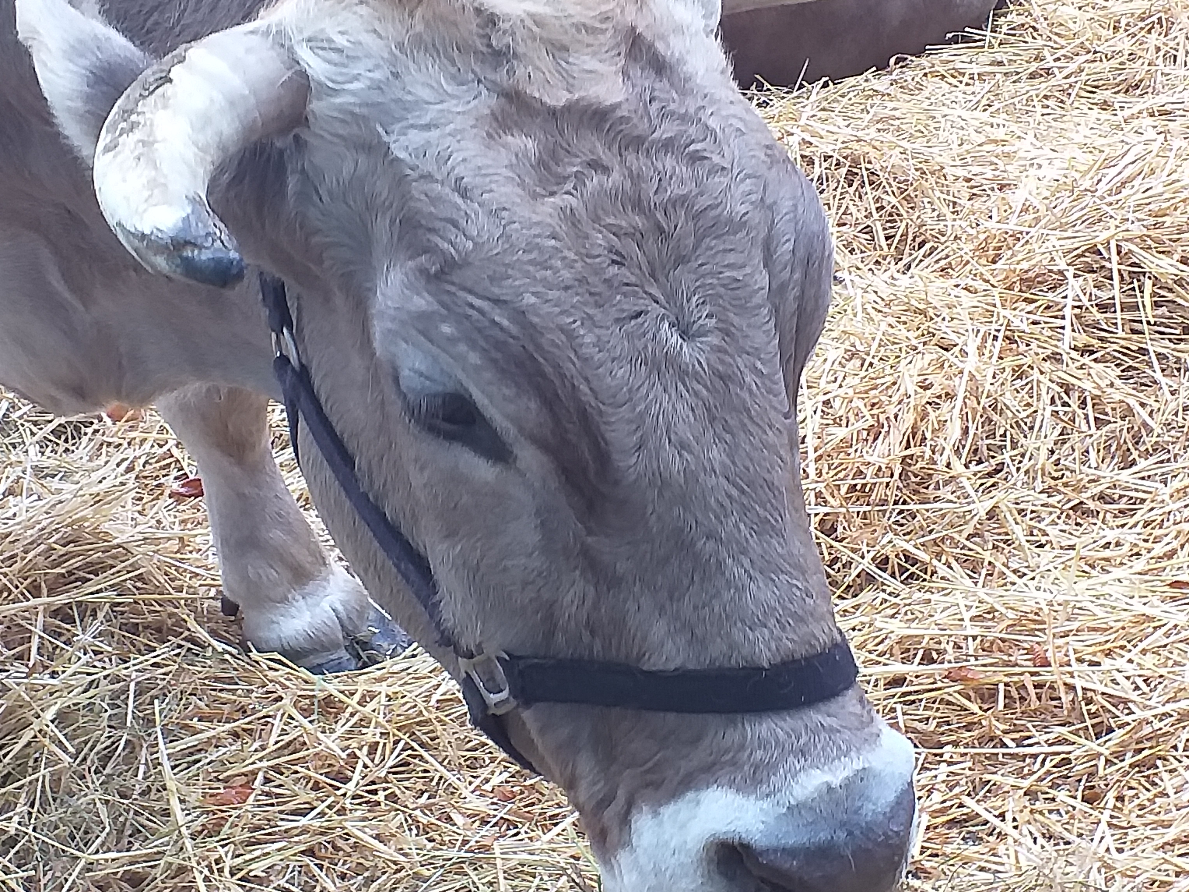 Photo n° 28 de l'avis de Guy.u fait le 08/10/2019 à 13:01