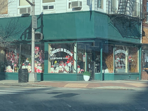 Florist «Flowers in Bloom», reviews and photos, 400 Harrison Ave, Harrison, NJ 07029, USA