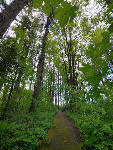 State Park «Willamette Stone State Heritage Site», reviews and photos, 253 NW Skyline Blvd, Portland, OR 97210, USA