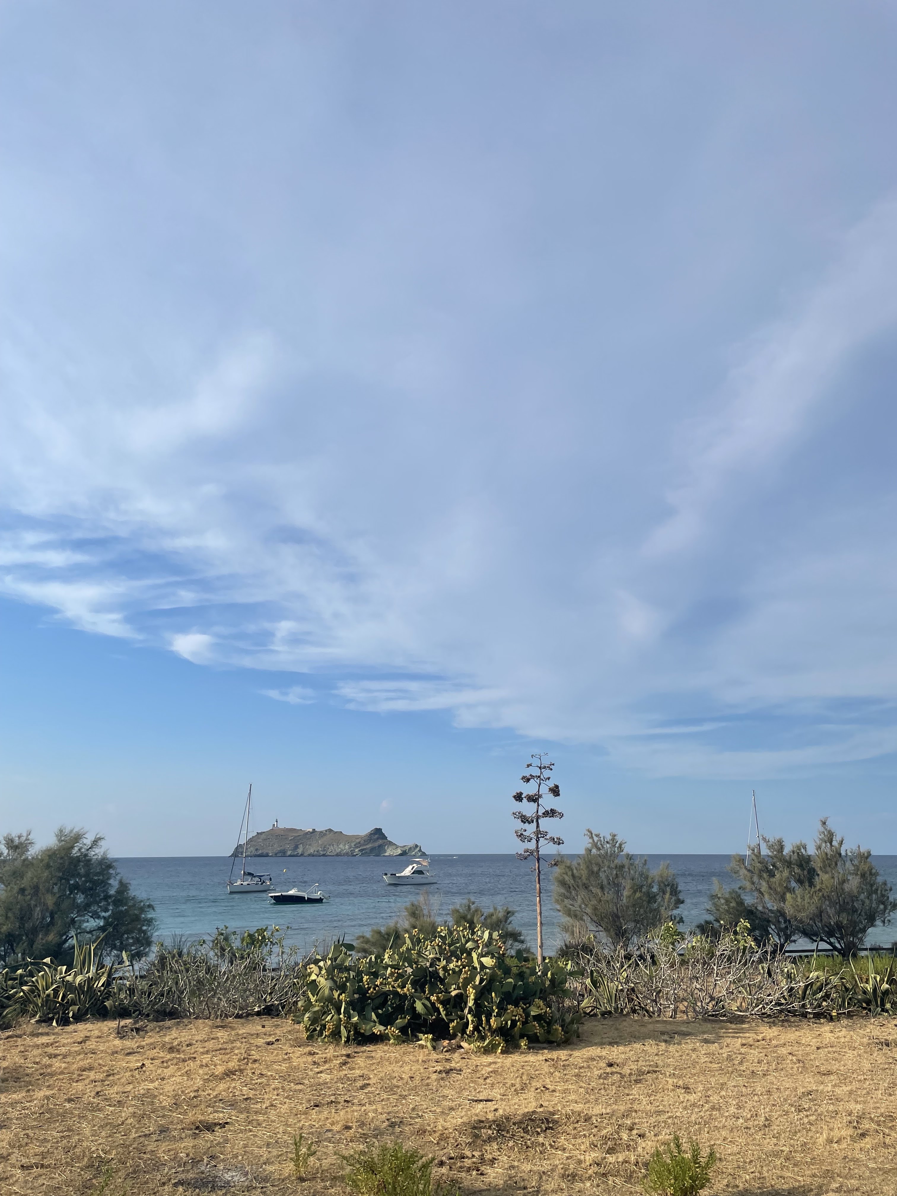 Photo n° 1 de l'avis de Guglielmo.a fait le 10/08/2022 à 15:11