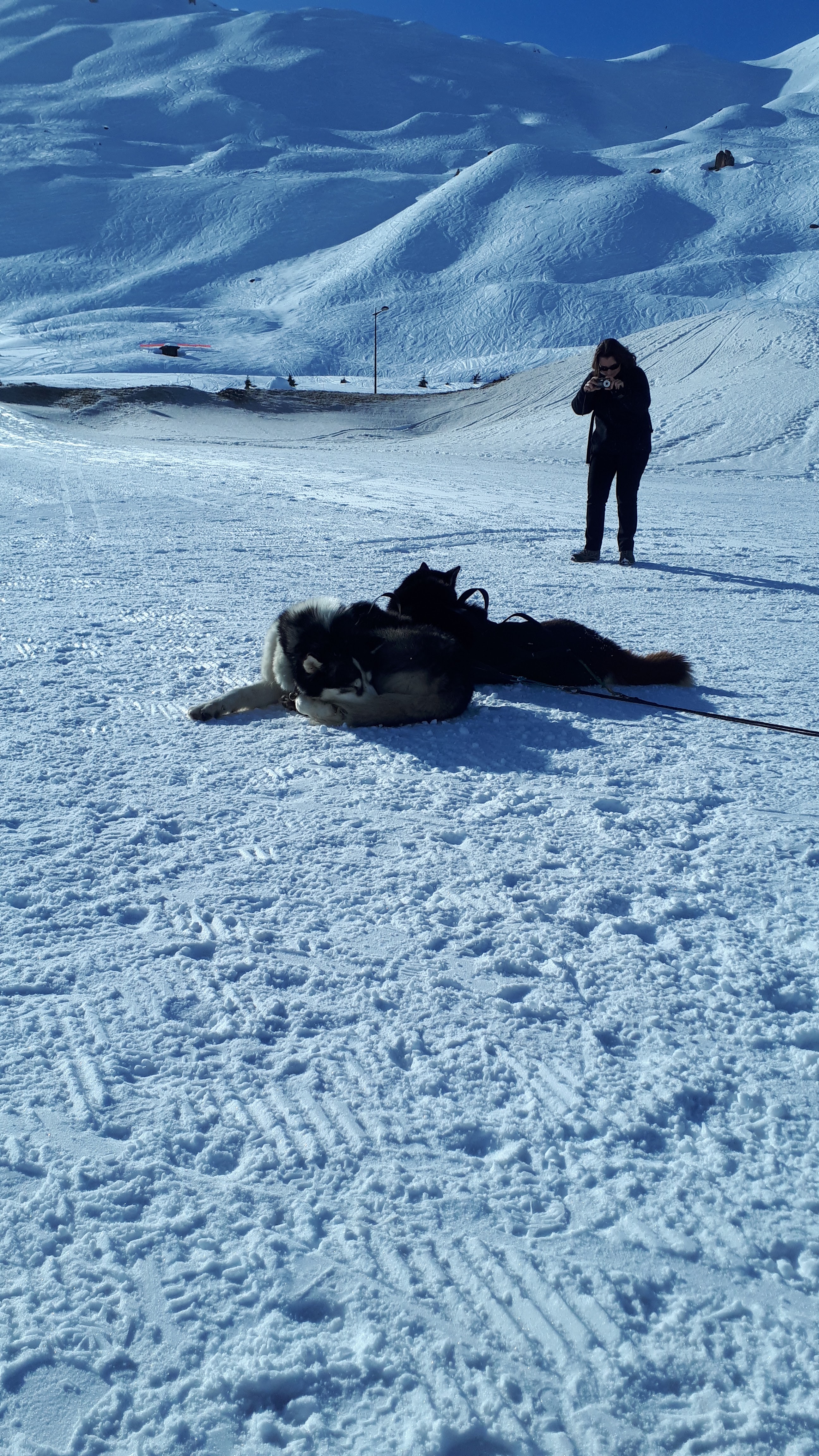 Photo n° 3 de l'avis de Masson.� fait le 16/04/2019 à 12:55