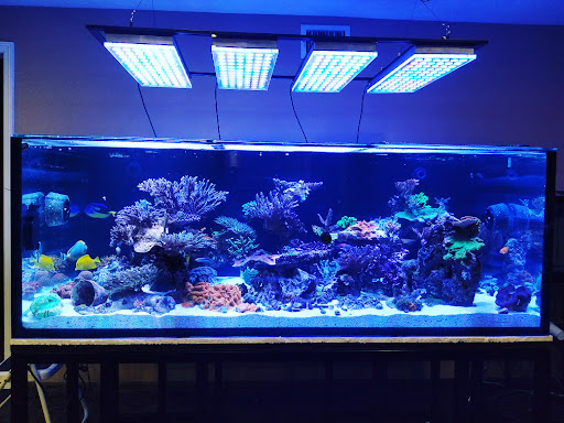 Tropical Fish Store «Glasscages.com LLC», reviews and photos, 1500 E Piney Rd, Dickson, TN 37055, USA