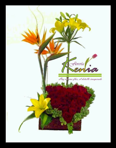 Florería Kenia