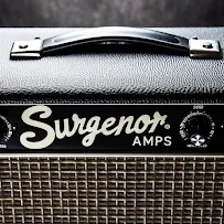 Surgenor Amps - Car repair in , Knoxville - Rated 0.0/5