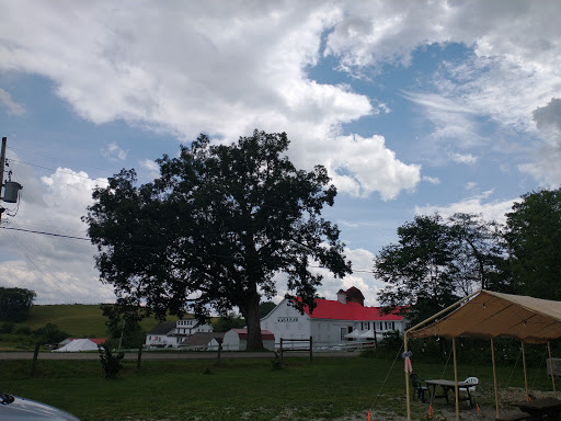 Winery «Christian W Klay Winery», reviews and photos, 412 Fayette Springs Rd, Chalkhill, PA 15421, USA